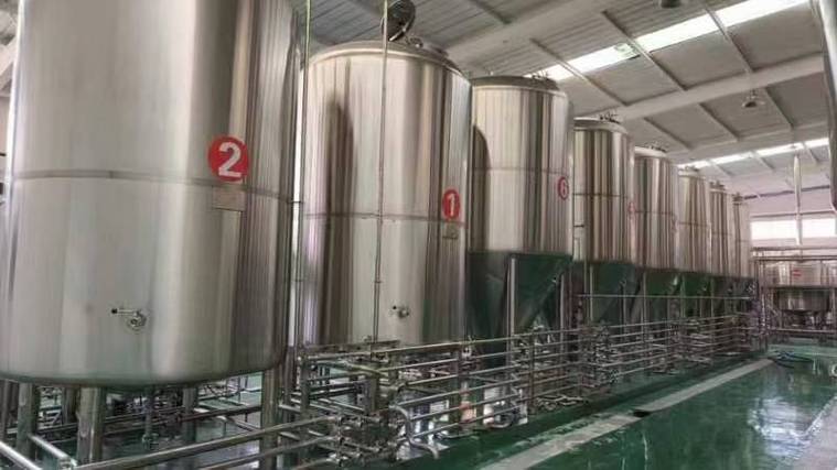 岭口镇日产10吨精酿啤酒设备多少钱?2026年全套报价帮你算明白